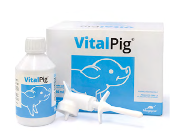 Obrazek VitalPig uzupełniająca pasza energetyczna dla prosiąt